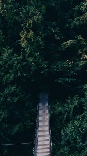 SEO综合查询 - 站长工具截图2