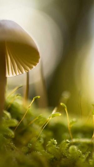 泛目录是什么推广工具截图3