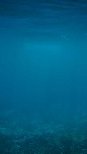 蜘蛛池位置截图3