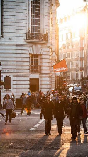 seo蜘蛛池作用截图1