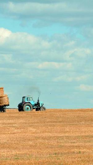 泛目录站群代做截图1