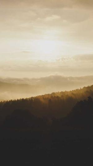 seo工具换链教程截图3