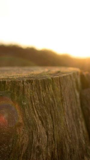 泛目录推送有什么用截图3