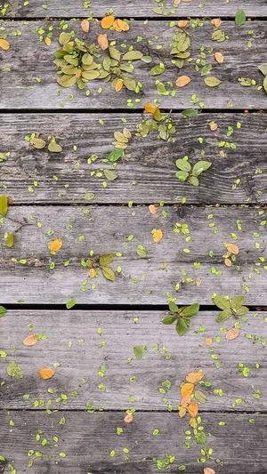 seo培训教程泛目录截图1