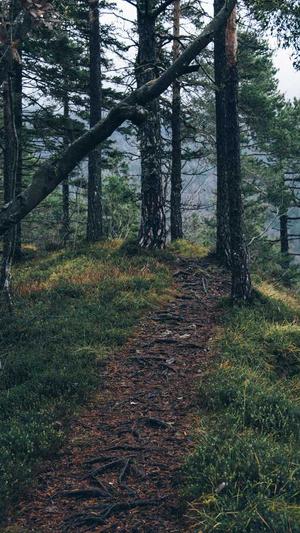 整套seo教程截图4