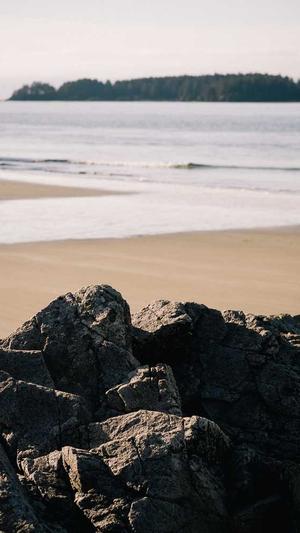 新人如何入手蜘蛛池截图3