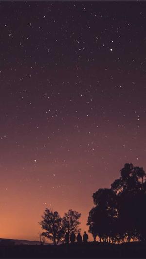 seo关键词工具优帮云截图5