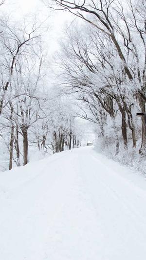 seo培训教程截图2