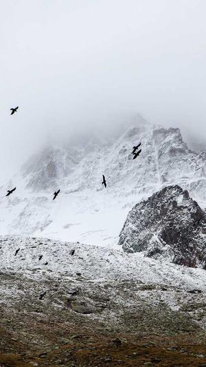 seo站长工具视频营销截图1