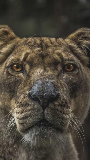 云南蜘蛛池租用包月截图1