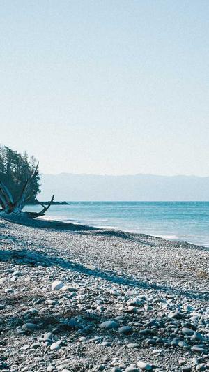 郑州seo学习截图1