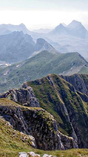 成都网站建设建设截图2