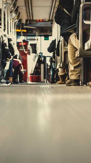 如何建立蜘蛛池截图2