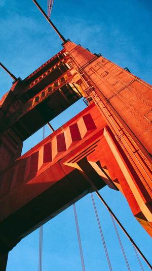 站长工具中文seo截图3