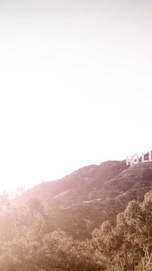 蜘蛛池源码是真的吗截图3