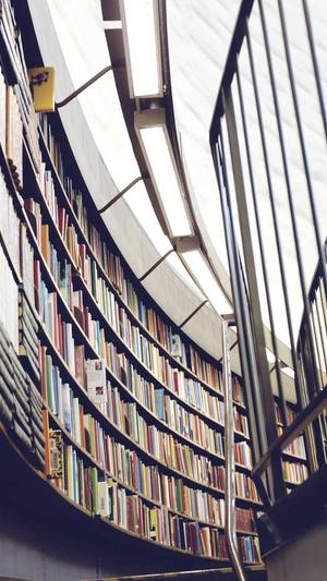 seo常用工具有哪些截图4