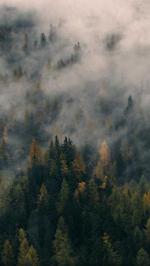 seo站长工具推广平台截图3