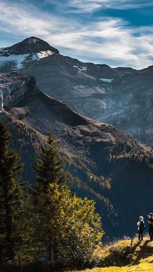 重庆网站seo费用截图2