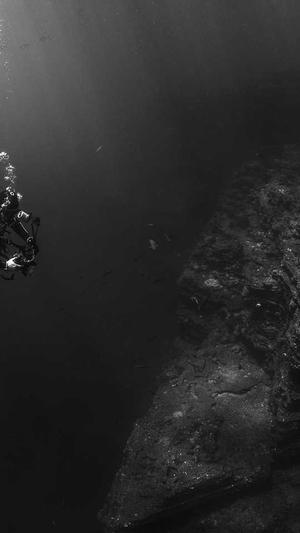 网络seo营销工具截图1