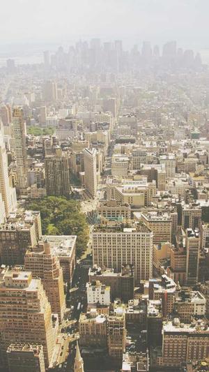 河南头条蜘蛛池出租截图1