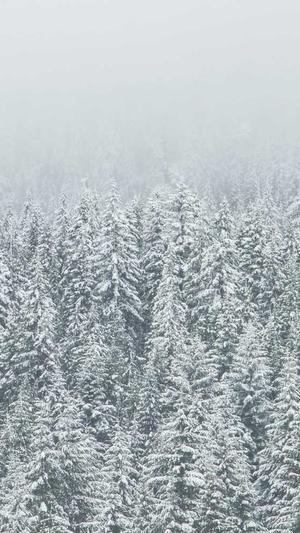 seo搜索引擎工具截图1