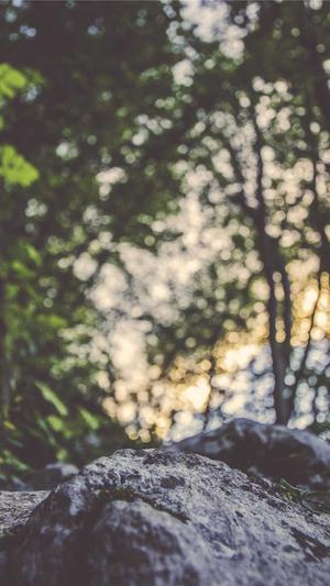 建设网站需要什么条件截图5