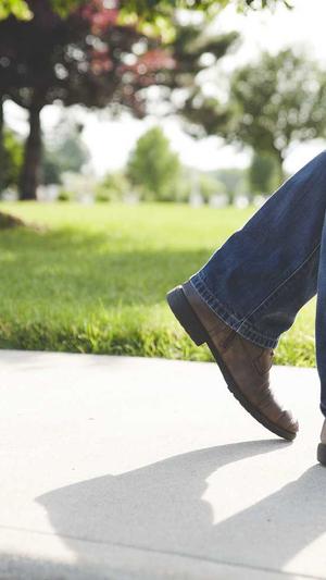 泛目录生成程序截图3