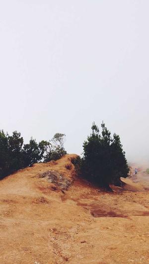 合肥网站网站建设截图3