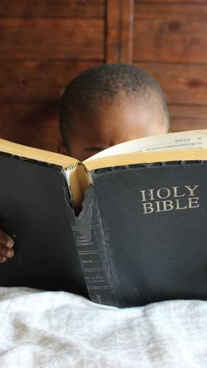 5G视频seo站长工具截图2