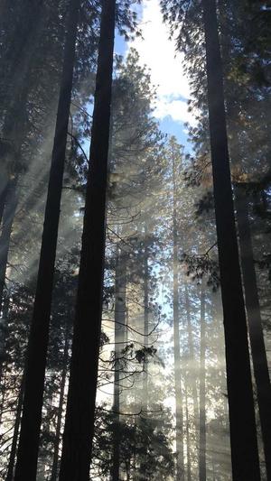 保定seo工具截图4