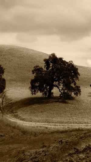 泛目录生成程序截图1